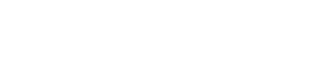 The Labour Market and Information Council's font logo in white text.